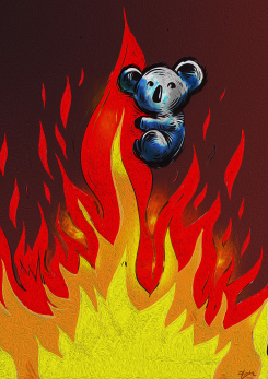 AUSTRALIA BURNING by Oguz Gurel