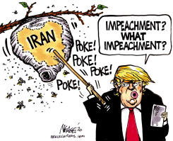 IRAN NEST by Steve Nease