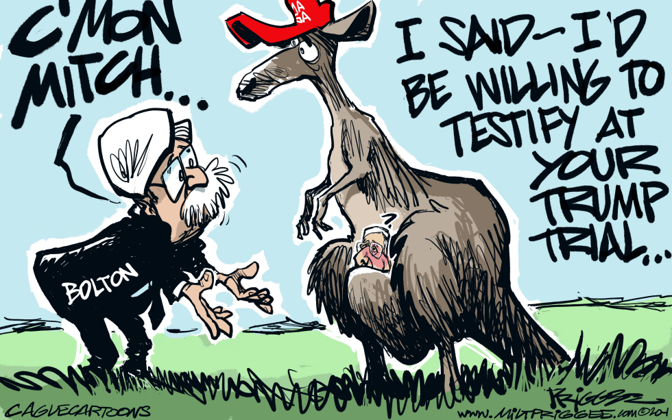 Senate Trial