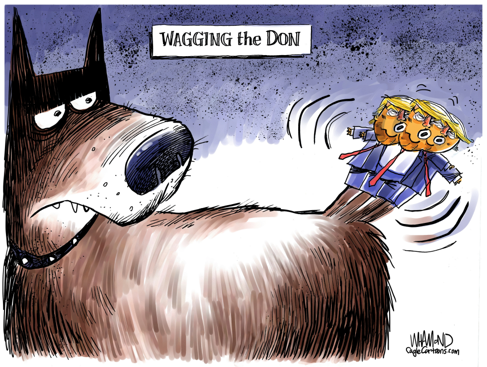  WAG THE DON by Dave Whamond