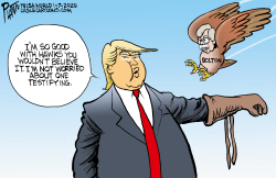 Trump the hawk wrangler by Bruce Plante