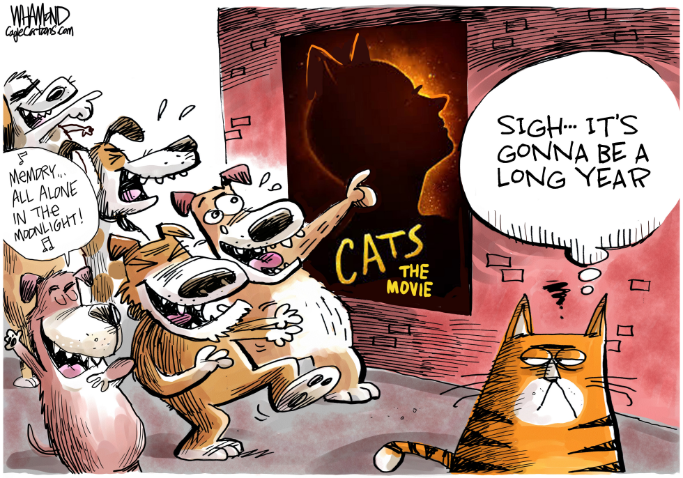  THE CATS MOVIE IS A REAL DOG by Dave Whamond