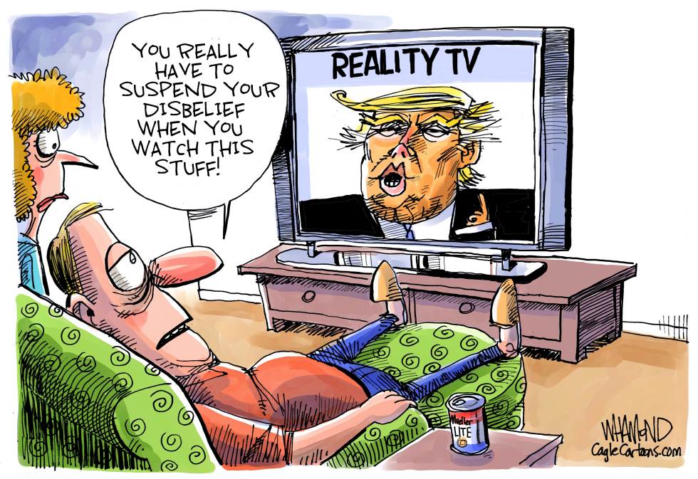  THE REALITY SHOW PRESIDENT by Dave Whamond