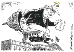 IMPEACHMENT by Zapiro