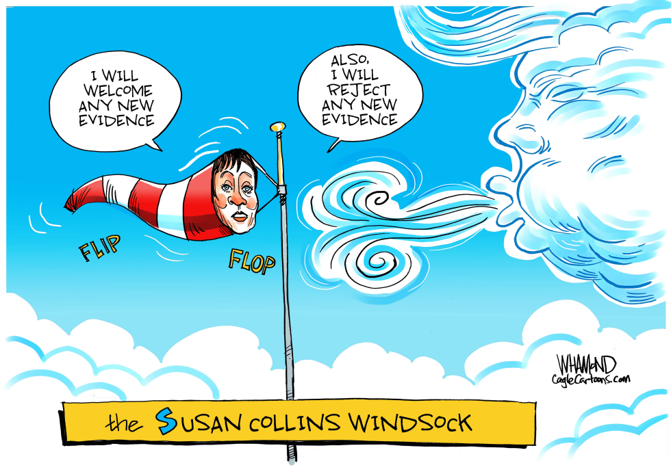  THE SUSAN COLLINS WINDSOCK by Dave Whamond