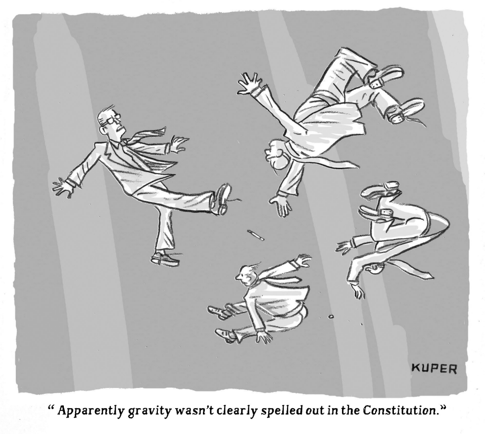  IS THE LAW OF GRAVITY IN THE CONSTITUTION by Peter Kuper