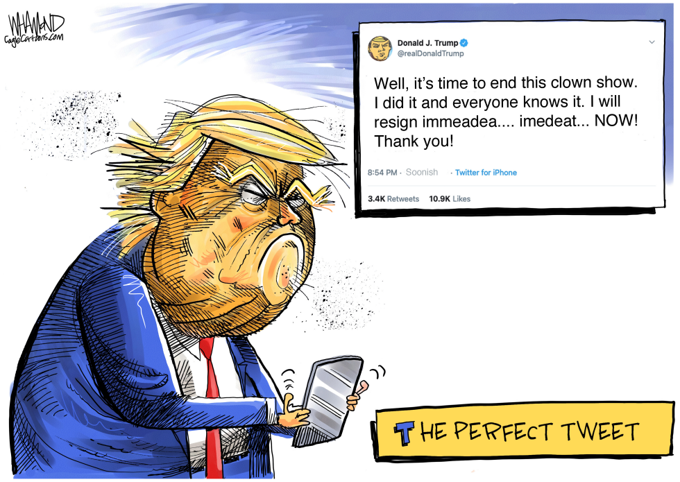 The Perfect Tweet