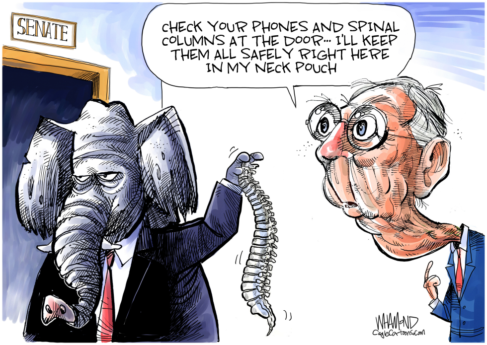 Senate Trial Rules