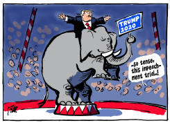 SENATE IMPEACHMENT TRIAL by Tom Janssen