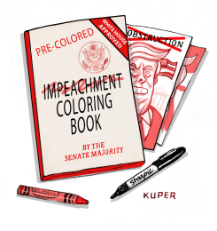 IMPEACHMENT ING BOOK by Peter Kuper