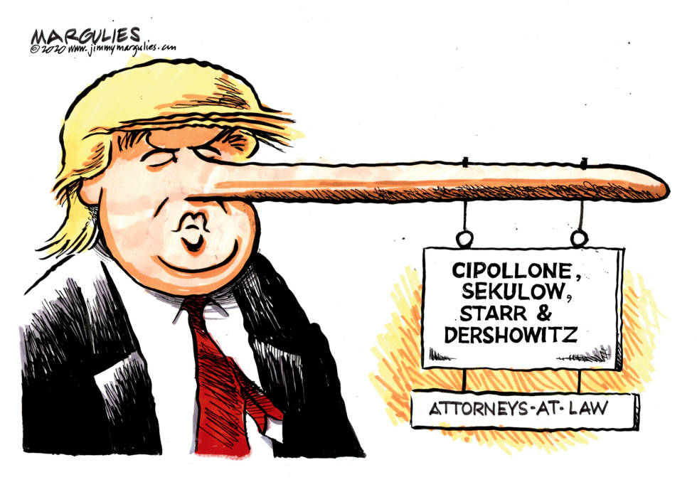 Trump Defense Team