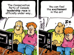 TORY LEADERSHIP by Steve Nease