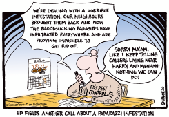 A PAPARAZZI INFESTATION by Ingrid Rice