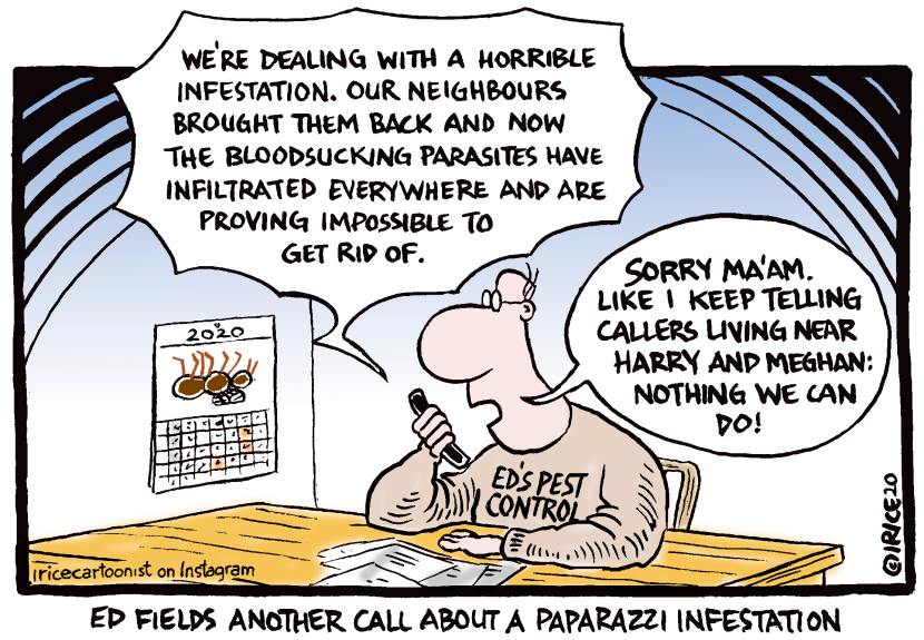 A Paparazzi Infestation