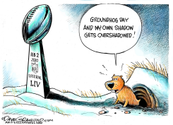 SUPER BOWL 2020 FEB 2 by Dave Granlund