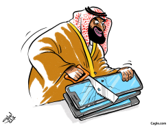 BIN SALMA HACKED AMAZON BOSS by Osama Hajjaj