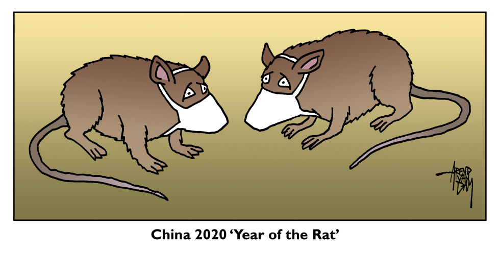 Year of the Rat