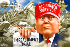 DESIGNATED SURVIVOR by Bart van Leeuwen