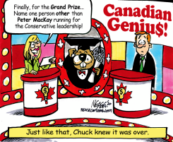 CANADIAN GENIUS by Steve Nease