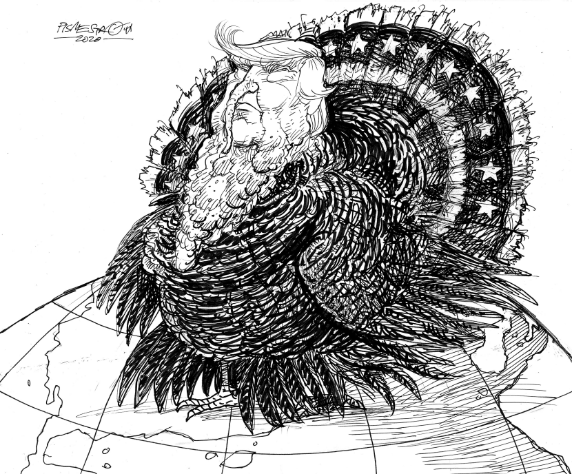 Donald Trump Turkey