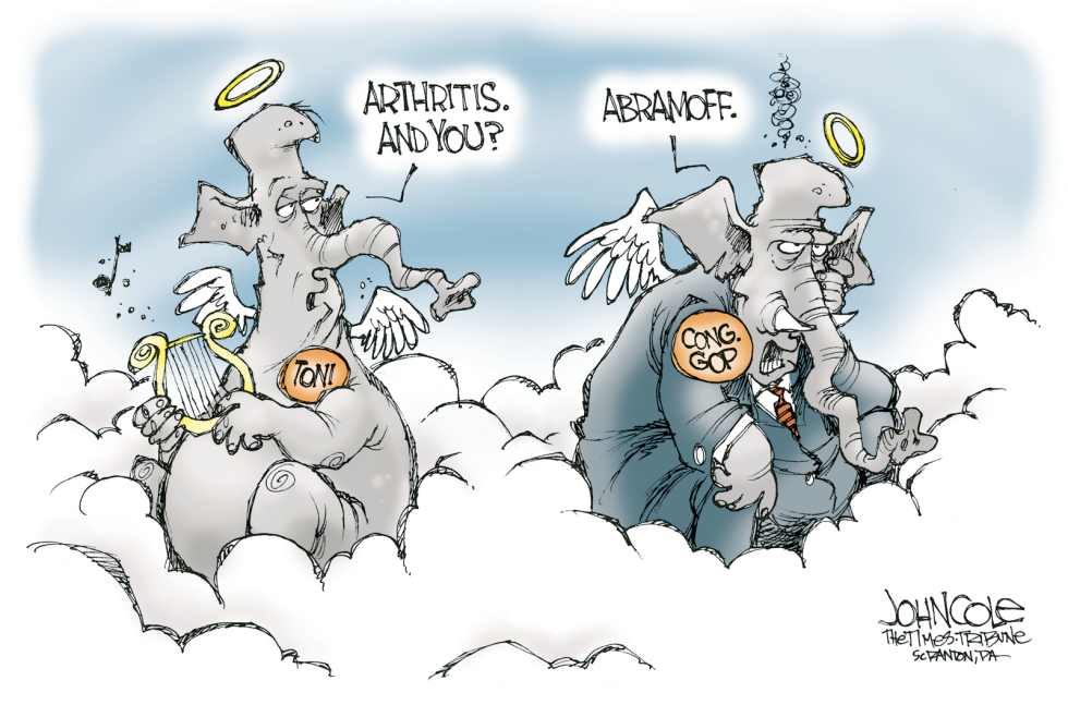 Elephant heaven -- color