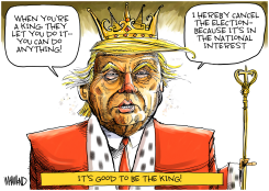 KING DONALD by Dave Whamond