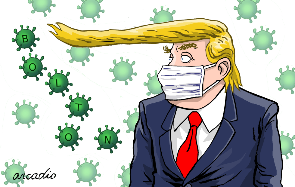Boltonvirus