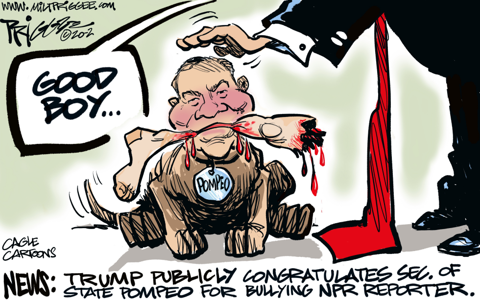 Big Bully Pompeo