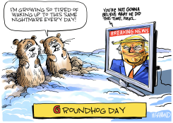 GROUNDHOG DAY by Dave Whamond