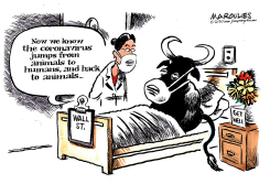 CORONOVIRUS AND WALL STREET by Jimmy Margulies