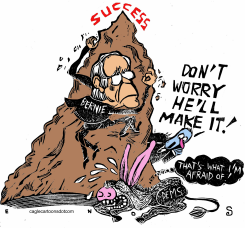 SUCCESS FOR BERNIE by Randall Enos
