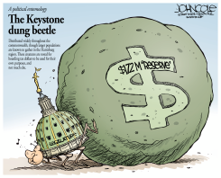 LOCAL PA KEYSTONE DUNG BEETLE by John Cole