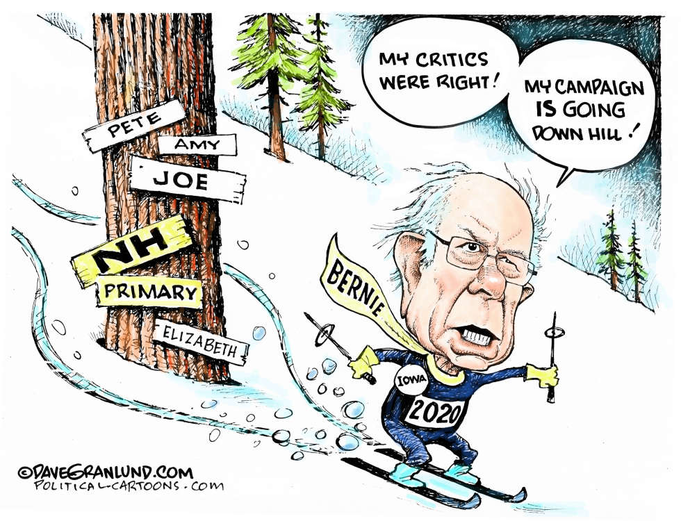 Bernie Sanders 2020 NH win