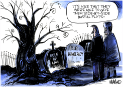 RIP DEMOCRACY AND RULE OF LAW by Dave Whamond