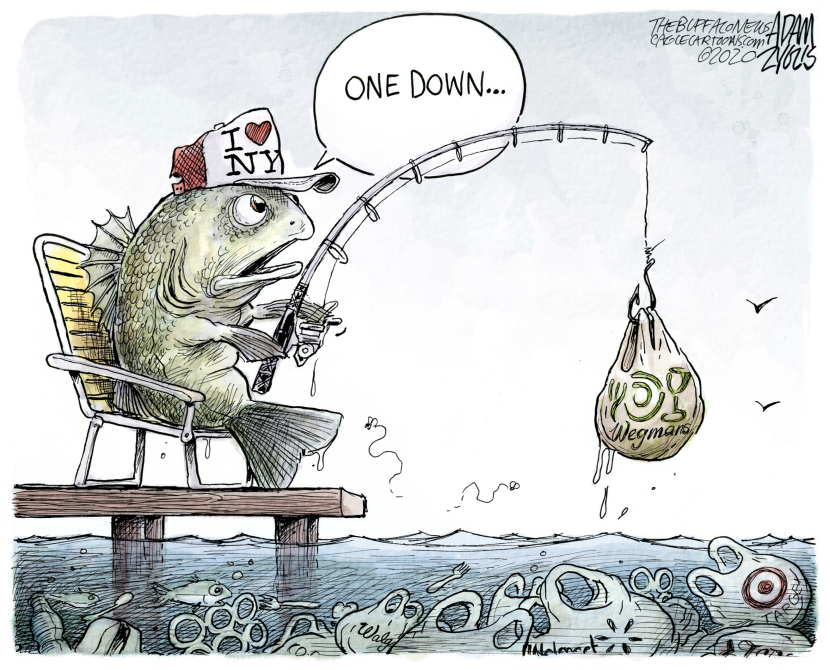 NY Plastic bag ban