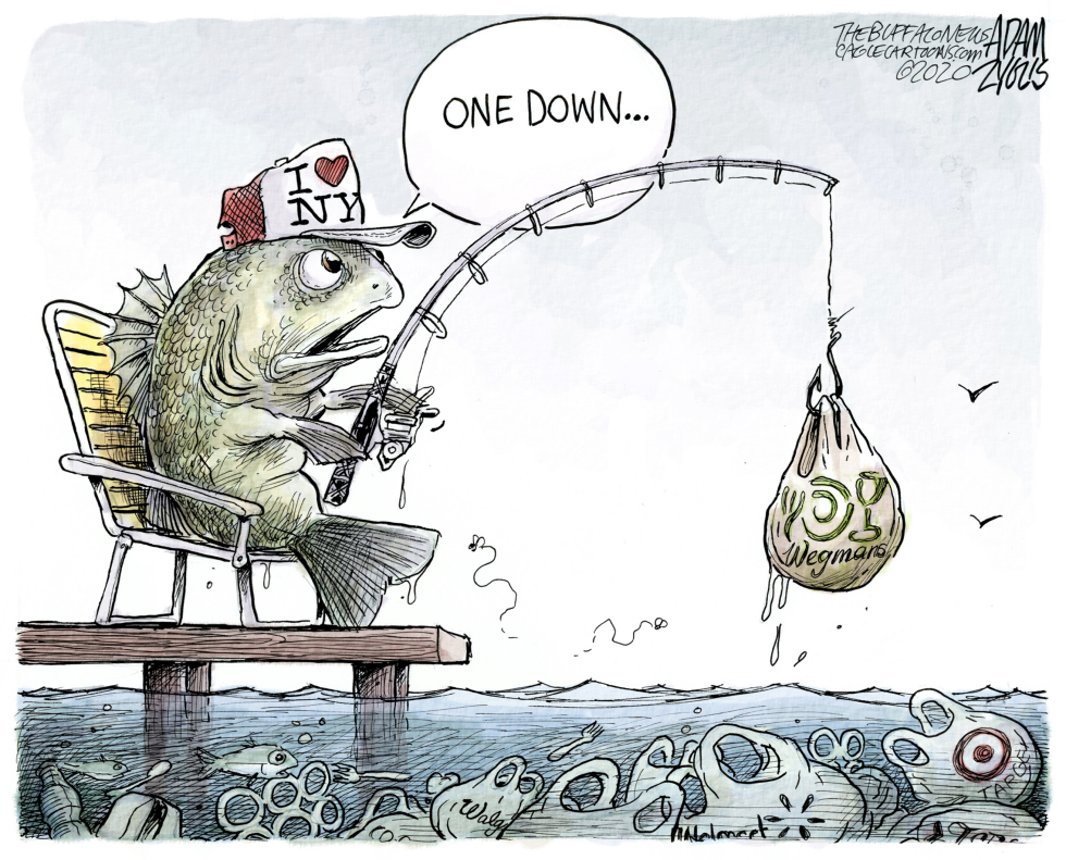 NY Plastic bag ban