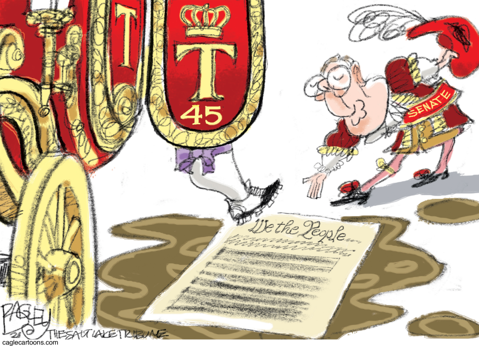 Constitutional Protection