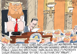 LOCAL TRUMP TOADIES by Pat Bagley