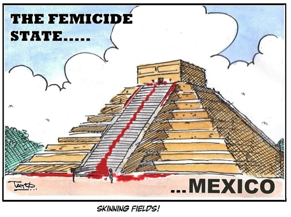 Mexico Femicide state