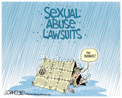 BOY SCOUTS BANKRUPTCY by John Cole