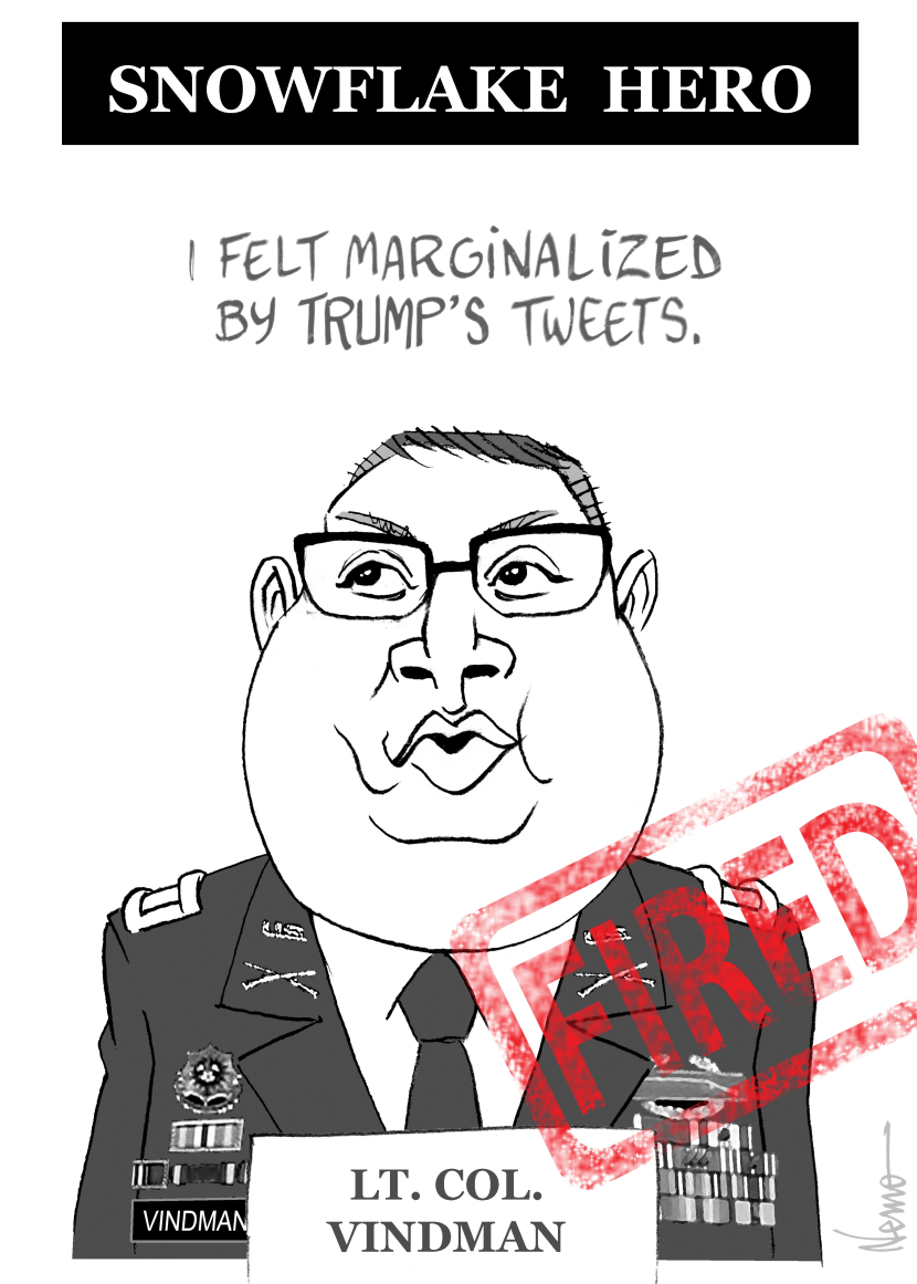 Snowflake Hero Fired