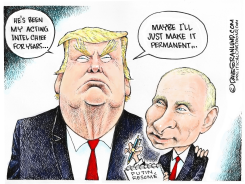 TRUMP INTEL CHIEF by Dave Granlund