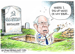 BERNIE AND SOCIALISM by Dave Granlund