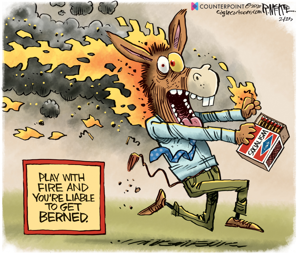 Democrats Berned