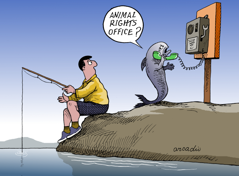 Animal Rights.