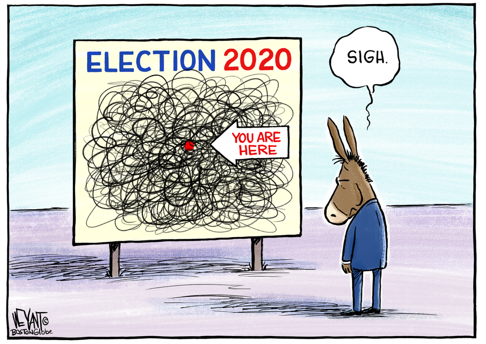 Democratic Election Map