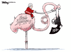 NRA GUN LOOPHOLE FLORIDA by Bill Day