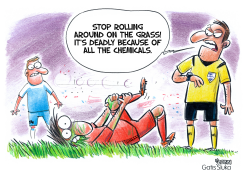 PESTICIDES AND PLAYING FIELDS by Gatis Sluka