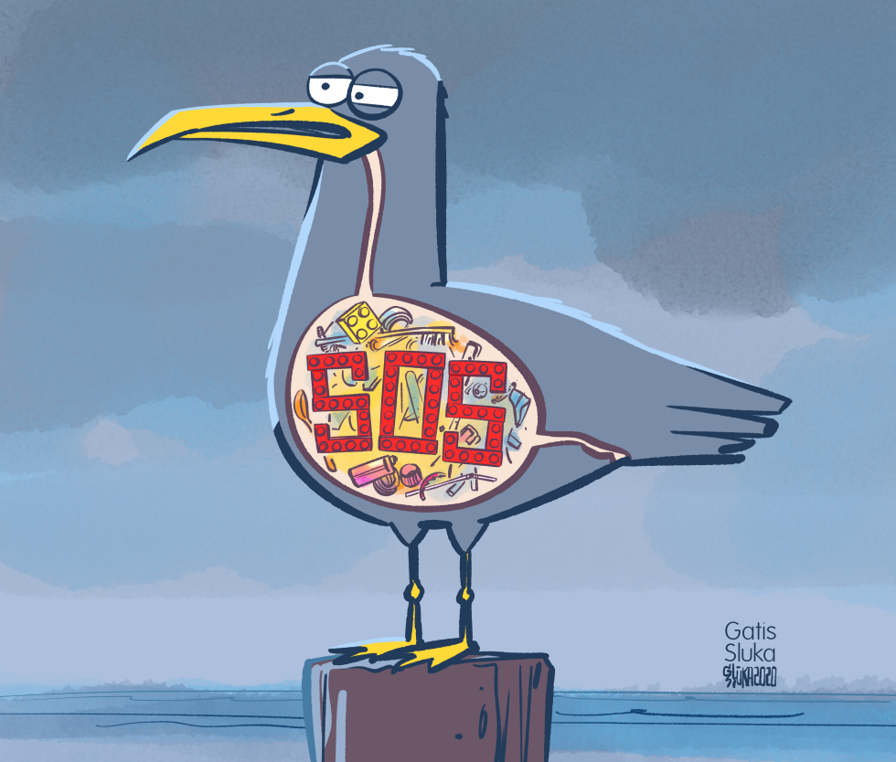 Stomach of seabird