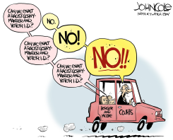 LOCAL NC  VOTER ID AND GERRYMANDEERS by John Cole